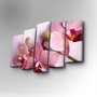 Wallity Cuadro Decorativo en Lienzo 5 Piezas 5PUC-066 Multicolor